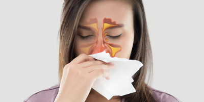 sinus
