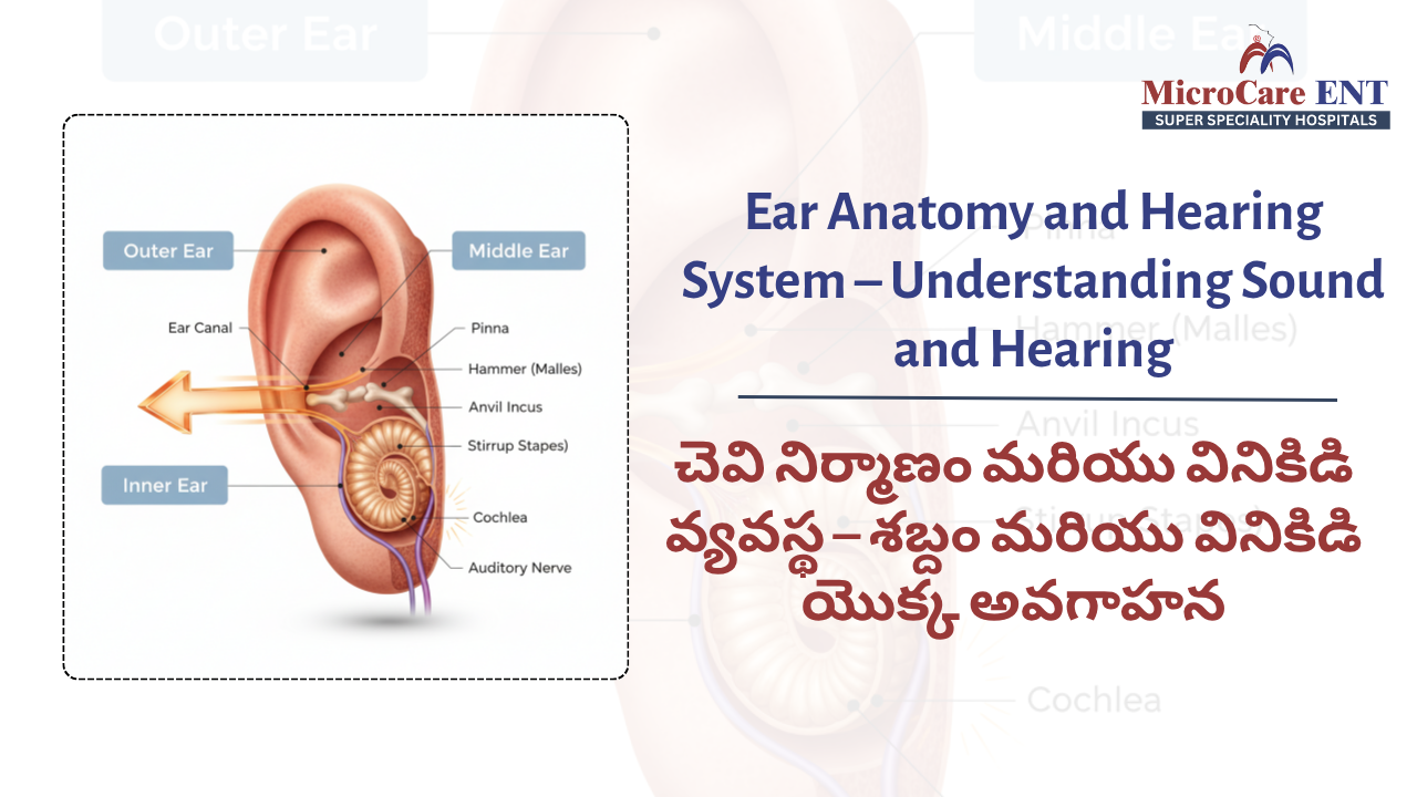 How the Ear Works – MicroCare ENT Hospital Explanation of Hearing Mechanism and Ear Functioning in Hyderabad