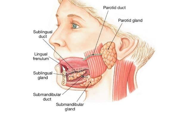 Parotid gland surgery performed by ENT specialists at MicroCare ENT Hospital Hyderabad Telangana